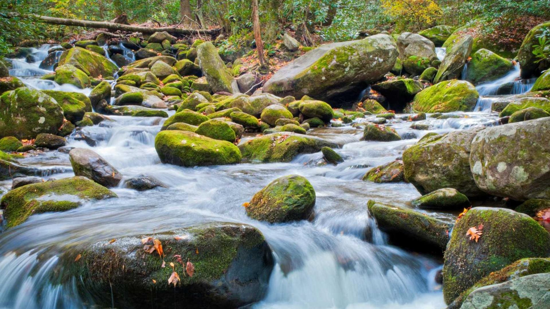 Little Smoky Retreat , 3 Bedroom , Close To Downtown Gatlinburg And Pigeon Forge Luaran gambar